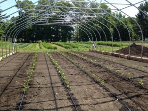 The Farm at Stonehill expands sustainability