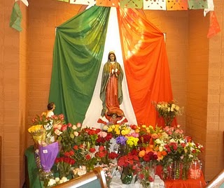 Learning the Ropes: Getting to know Guadalupe