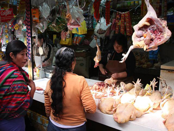 Pollos en el mercado